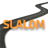 logo slalom