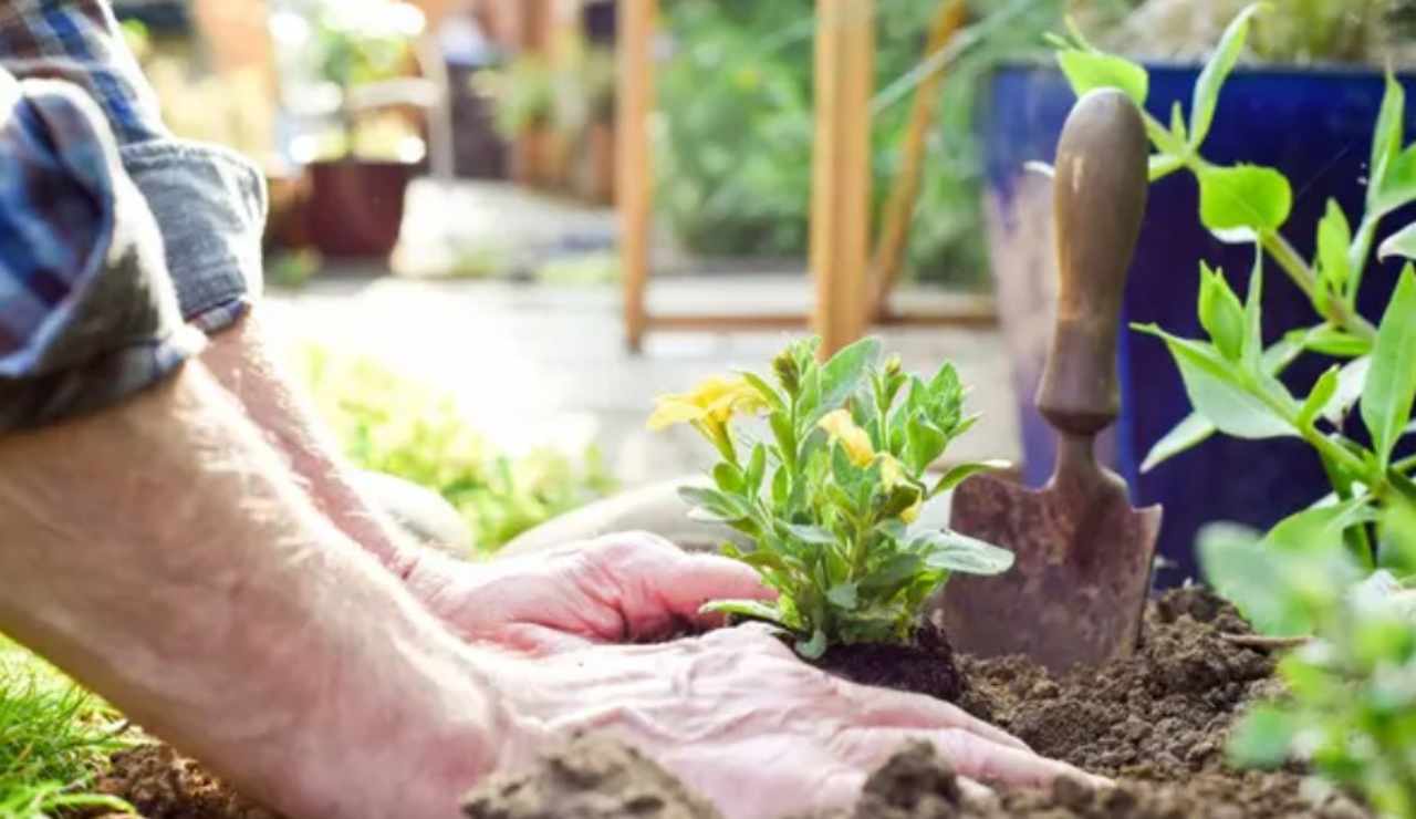 Giardinaggio (Depositphotos foto) - www.rally.it