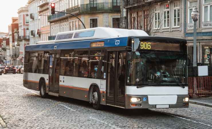 Autobus