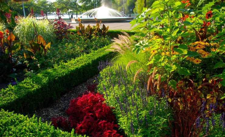 Per evitare sanzioni