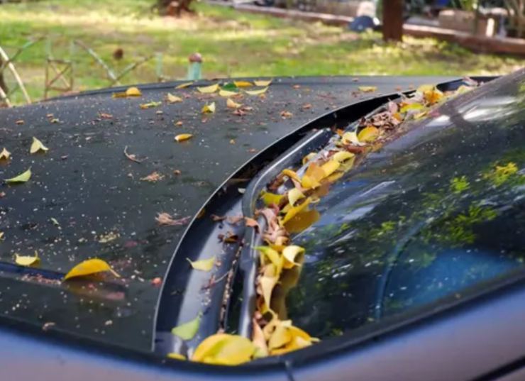 Parabrezza e foglie (Depositphotos foto) - www.rally.it
