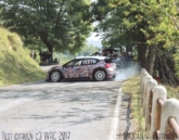 Test citroen c3 WRC 2017-San Bernardo di Conio(IM)