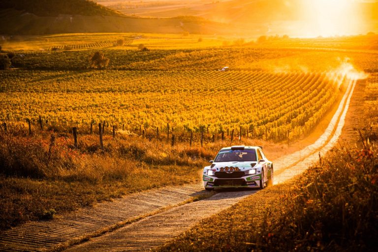 Mikkelsen campione europeo e pensa al WRC