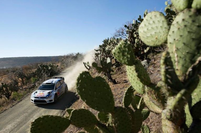 Messico, PS8: Problemi elettrici fermano Hirvonen, Fuori anche Kris Meeke