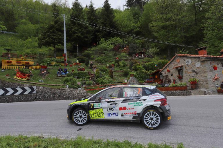 Abeti in chiaroscuro per Fabio Pinelli