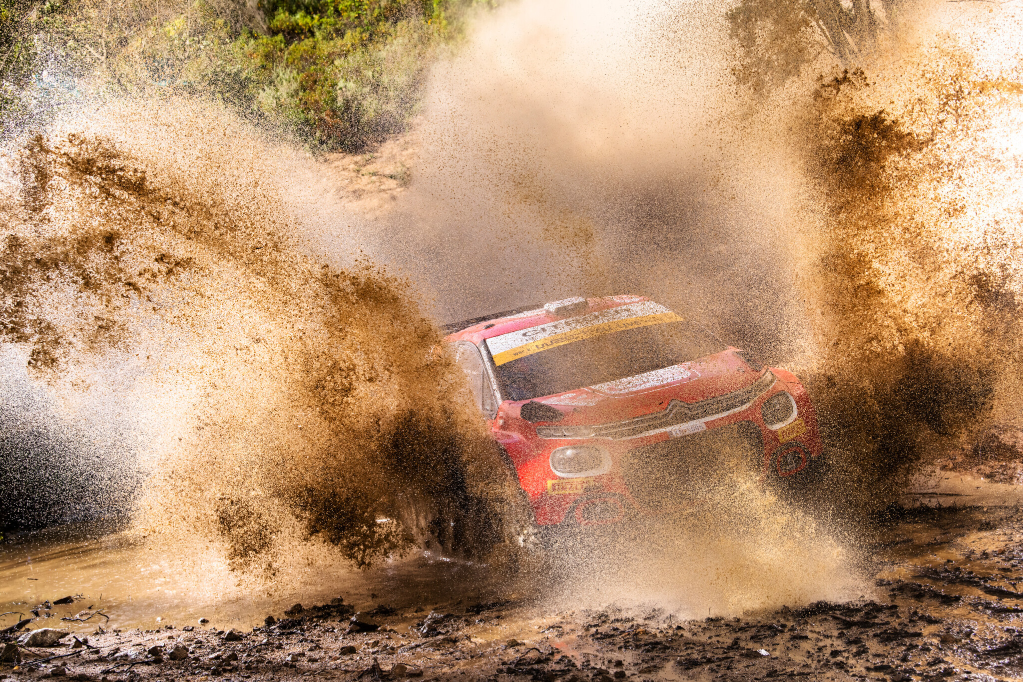 Ostberg si infuria in diretta TV: multato