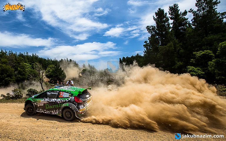 WRC 2015, Arrivano i pit-stop in Prova Speciale?