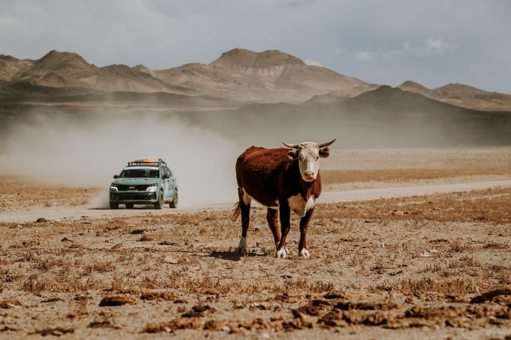 Partito con il Prologo il Rebelle Rally