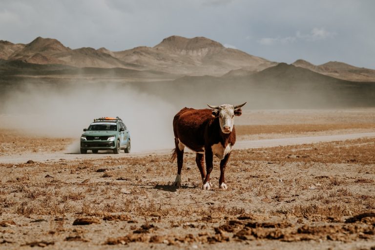 Partito con il Prologo il Rebelle Rally