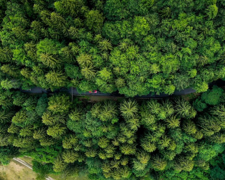 Stella Alpina 2020, conclusa la prima gara di regolarità post Covid